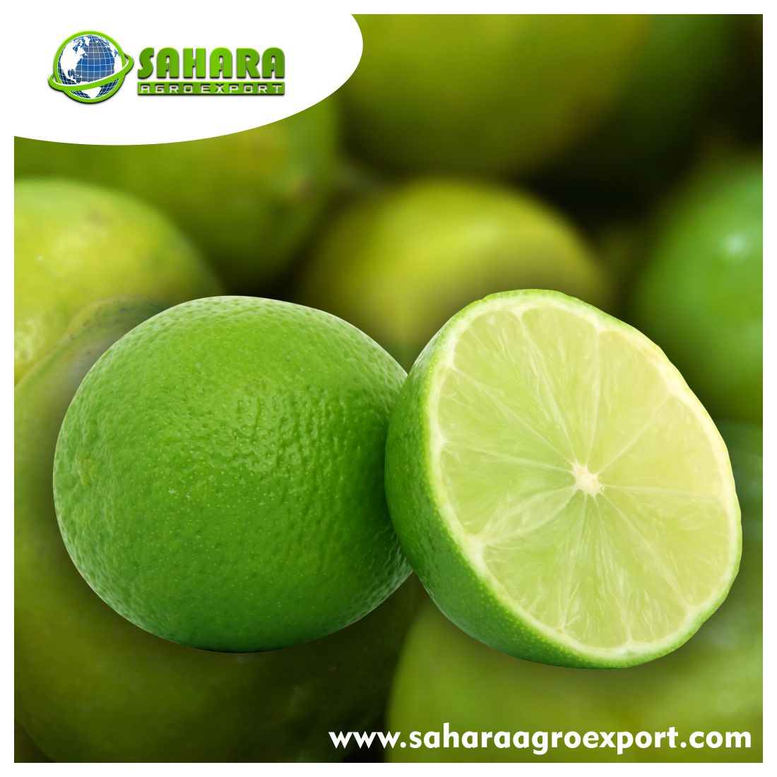Lemon- Sahara Agro Export